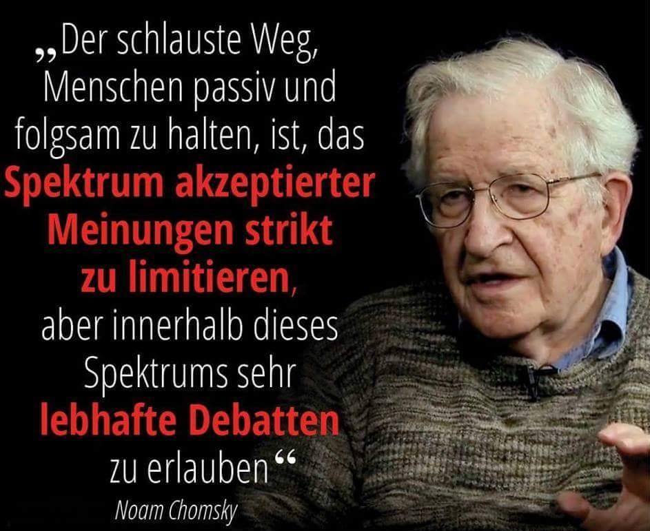 kritisch Chomsky
